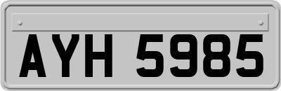 AYH5985