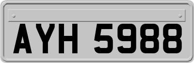 AYH5988
