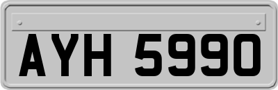 AYH5990