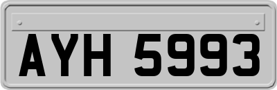 AYH5993