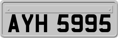 AYH5995