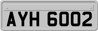 AYH6002