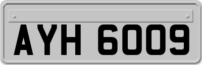 AYH6009