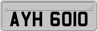 AYH6010