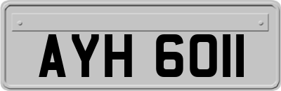 AYH6011