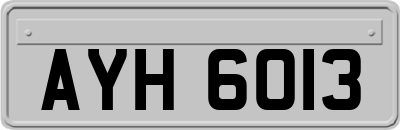 AYH6013