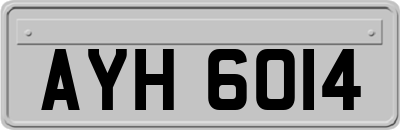AYH6014