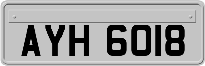 AYH6018