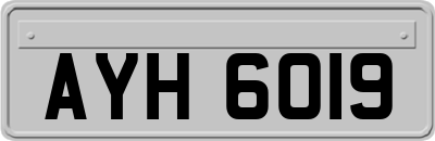 AYH6019