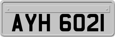 AYH6021