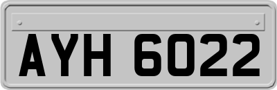 AYH6022