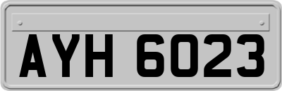 AYH6023