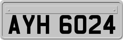 AYH6024