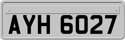 AYH6027