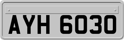 AYH6030