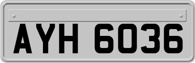AYH6036