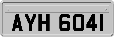 AYH6041