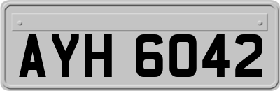 AYH6042