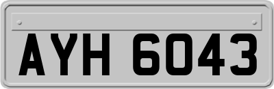 AYH6043