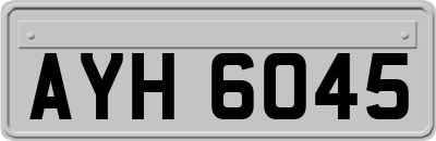 AYH6045