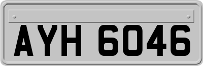 AYH6046