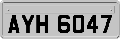 AYH6047