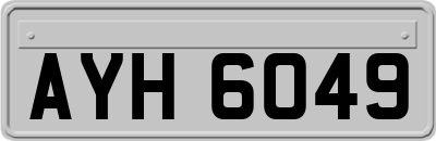 AYH6049