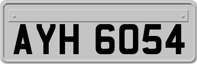 AYH6054
