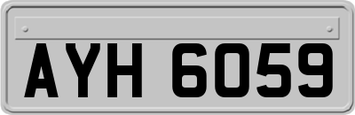 AYH6059