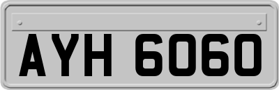 AYH6060