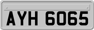 AYH6065