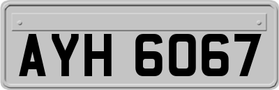 AYH6067