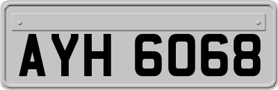 AYH6068