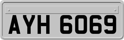 AYH6069