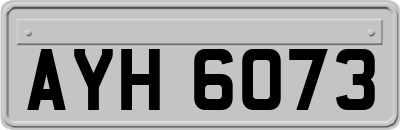 AYH6073