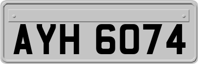 AYH6074