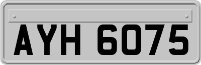 AYH6075
