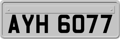 AYH6077