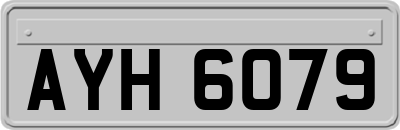 AYH6079