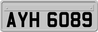 AYH6089