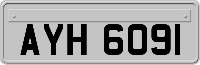 AYH6091