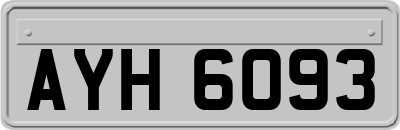 AYH6093