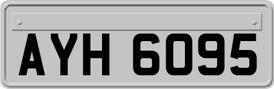 AYH6095