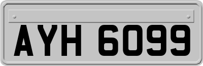 AYH6099