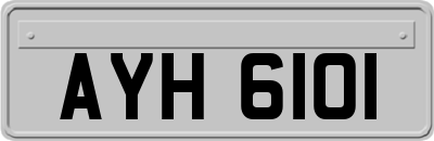 AYH6101