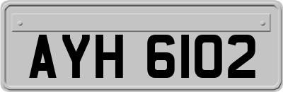 AYH6102