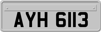 AYH6113
