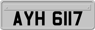 AYH6117