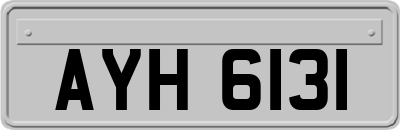 AYH6131