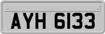 AYH6133